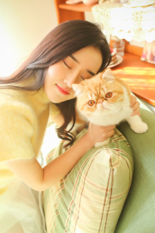 战旗电视剧